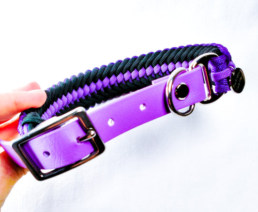 Pre-Made: Sanctified Collar, 30 - 39cm Kim & Milly's Cords 4 Paws Paracord Handmade Dog Accessories Customizable Made in Germany Shipping worldwide
