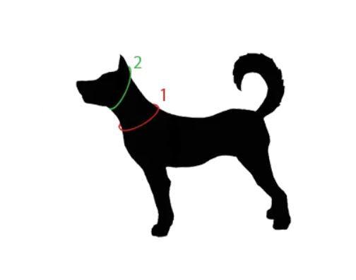 Dog Collar - "Sanctified " cords4paws Paracord Handmade Dog Accessories Customizable Made in Germany Shipping worldwide