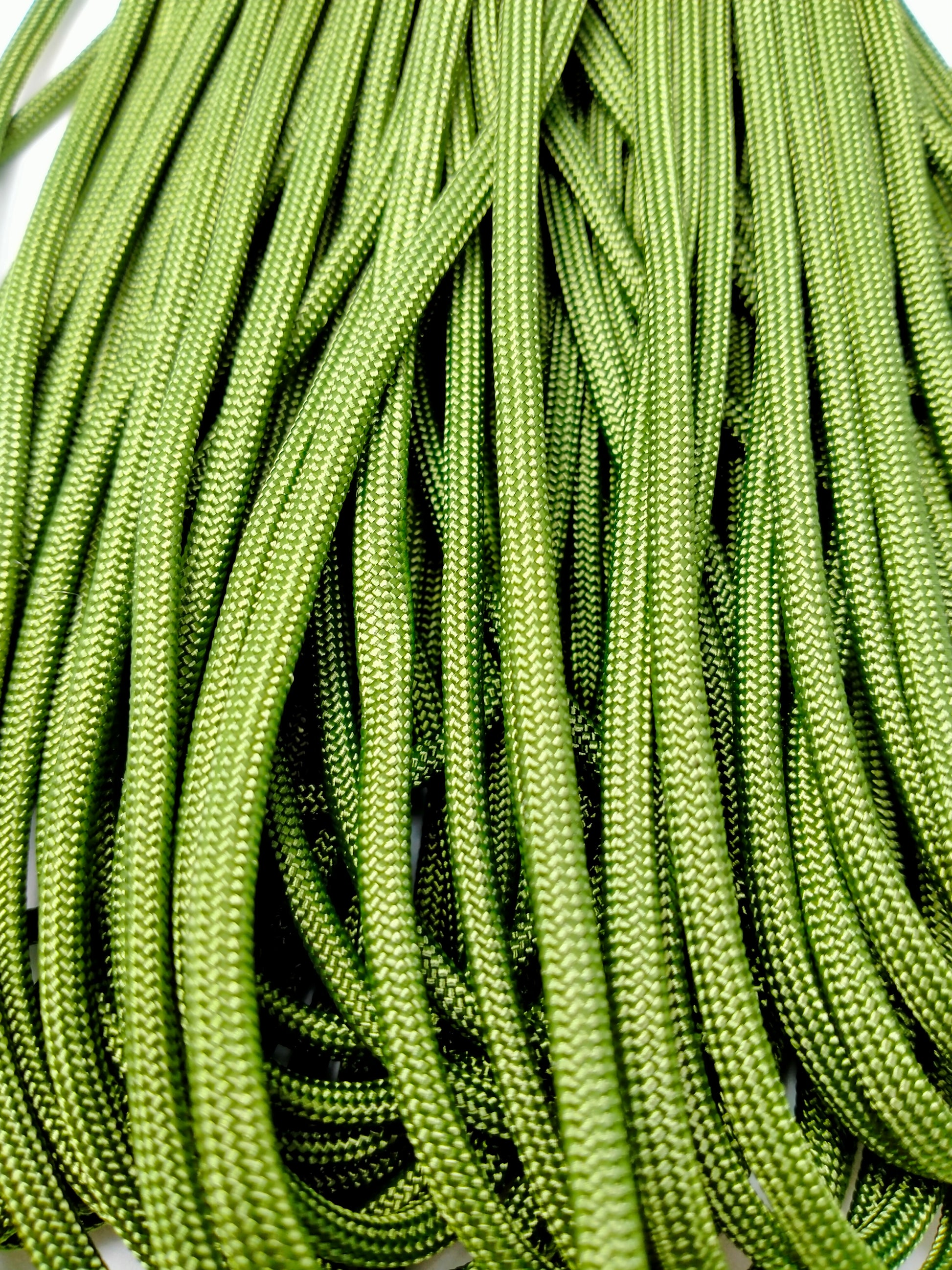 Paracord 4mm Fern Kim & Milly's Cords 4 Paws Paracord Handmade Dog Accessories Customizable Made in Germany Shipping worldwide