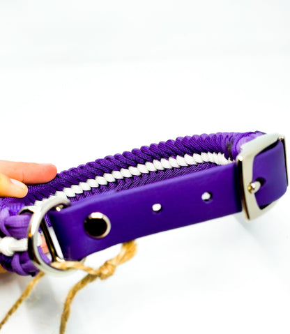 Dog Collar - "Sanctified " cords4paws Paracord Handmade Dog Accessories Customizable Made in Germany Shipping worldwide