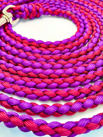 NOSEWORK Long Lead - 5m Kim & Milly's Cords 4 Paws Paracord Handmade Dog Accessories Customizable Made in Germany Shipping worldwide