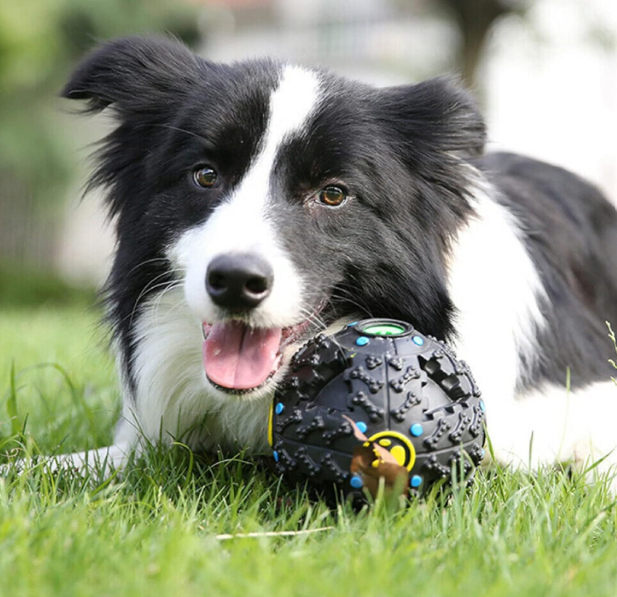 AUSSIE STOCK: Giggle Treat Ball Aquam Amici Paracord Handmade Dog Accessories Customizable Made in Germany Shipping worldwide