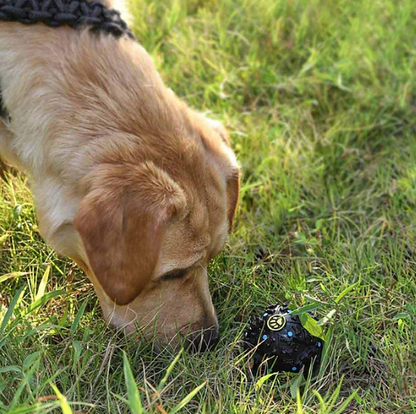 AUSSIE STOCK: Giggle Treat Ball Aquam Amici Paracord Handmade Dog Accessories Customizable Made in Germany Shipping worldwide