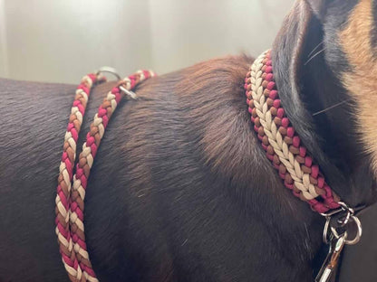 Dog Collar - "Endless Falls" cords4paws Paracord Handmade Dog Accessories Customizable Made in Germany Shipping worldwide